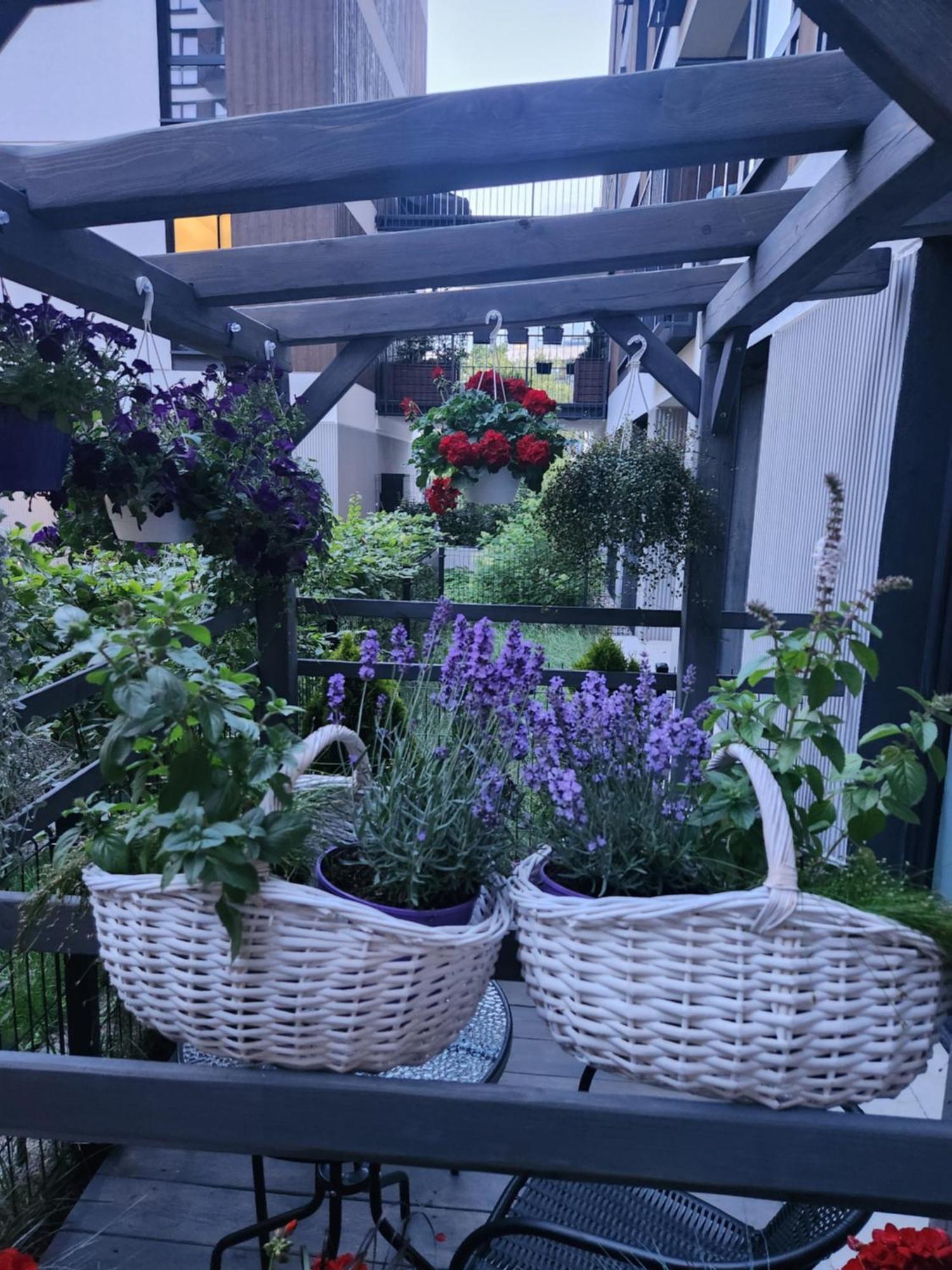House: With Jacuzzi, Prosecco & Wellness Facilities Apartment Warsaw